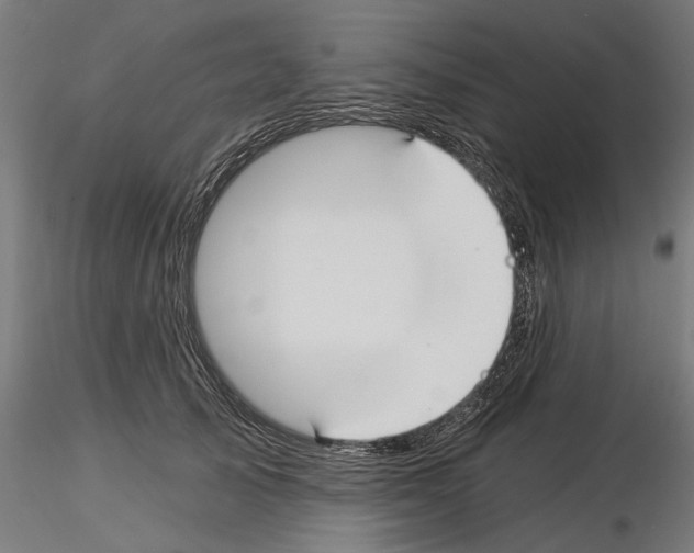 X0000115240705200912111054