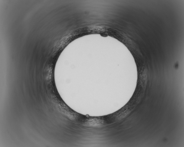 X0000115240708200912111054