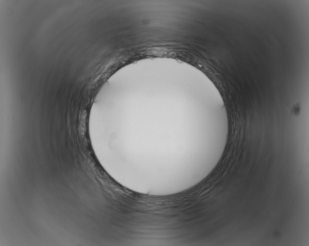 X0000115240712200912111054