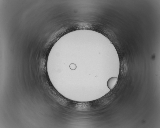 X0000115240714200912111054