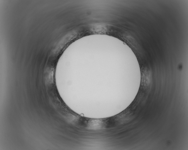 X0000115240717200912111054