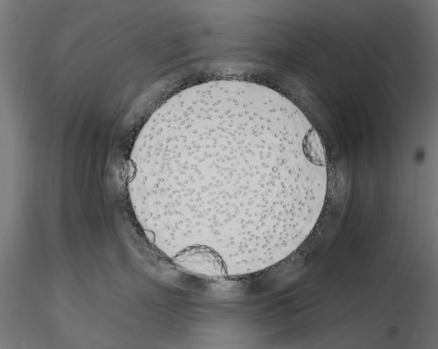 X0000115240718200912111054