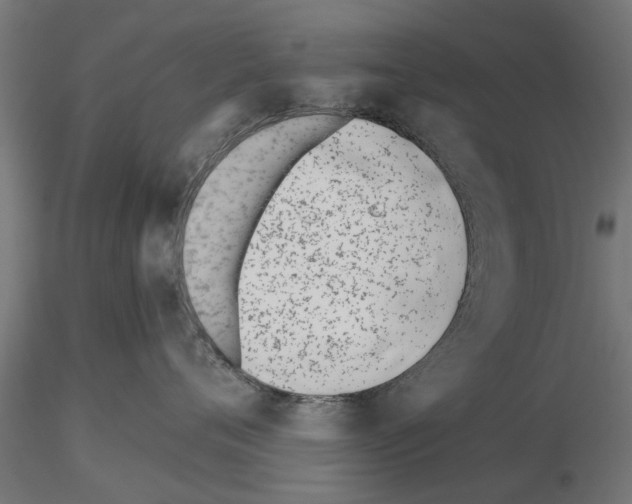 X0000115240720200912111054