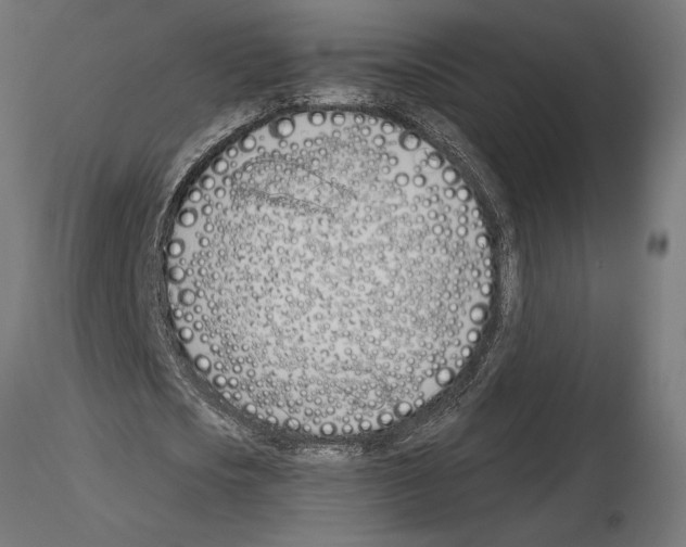 X0000115240721200912111053