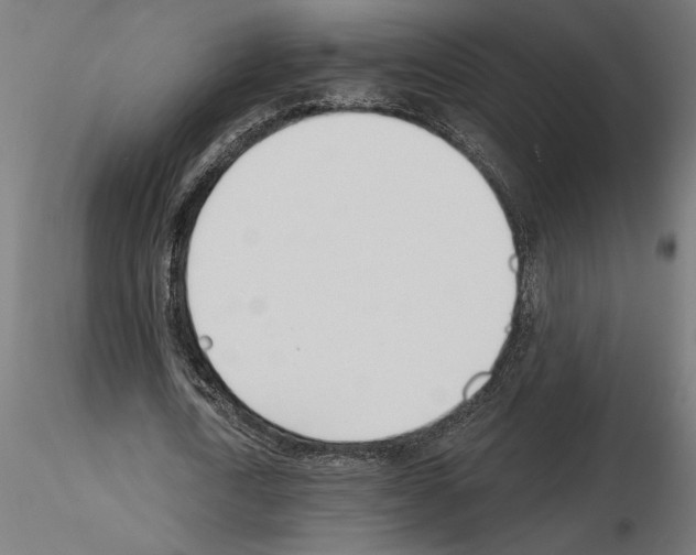 X0000115240722200912111053