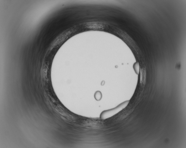 X0000115240723200912111053