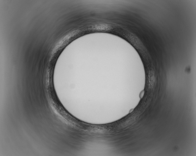 X0000115240726200912111053