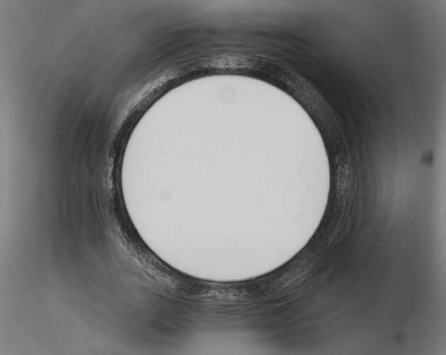 X0000115240727200912111053