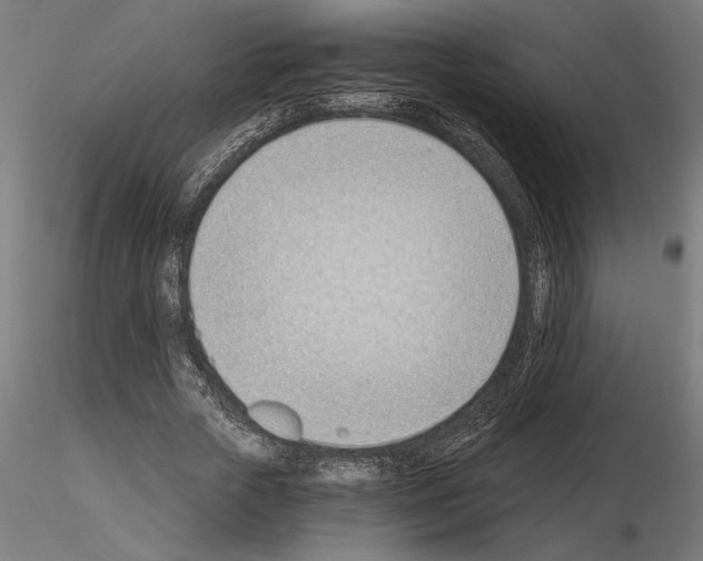 X0000115240729200912111053