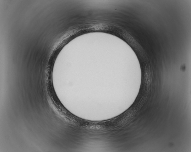 X0000115240730200912111053