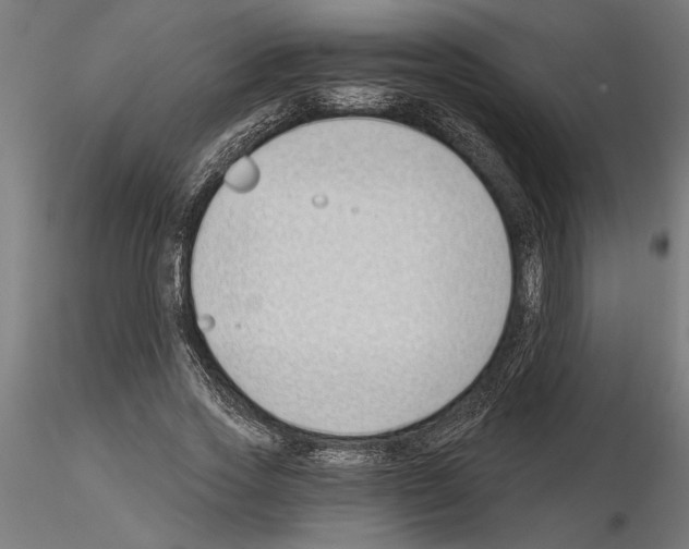 X0000115240733200912111054