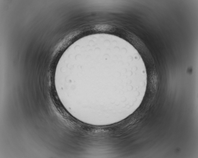 X0000115240734200912111054