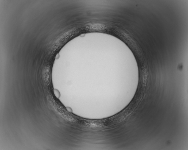 X0000115240737200912111054