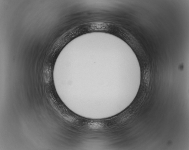 X0000115240741200912111054