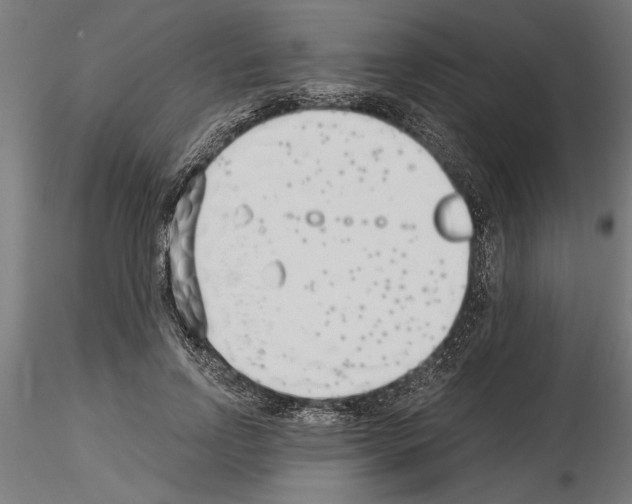 X0000115240742200912111054