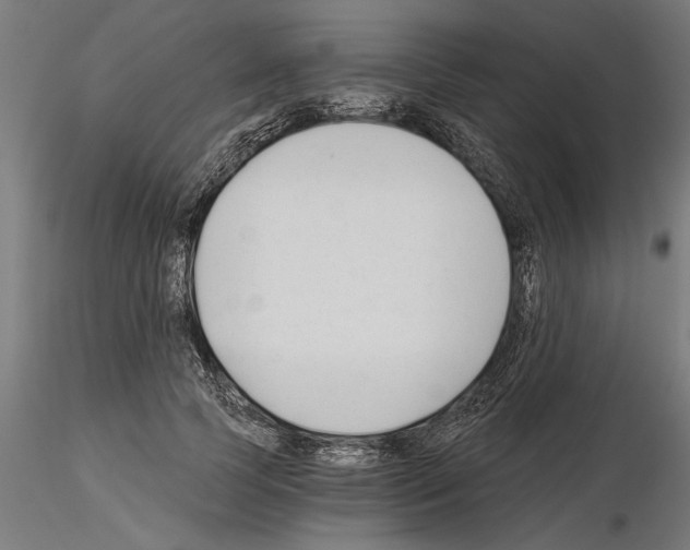 X0000115240745200912111054