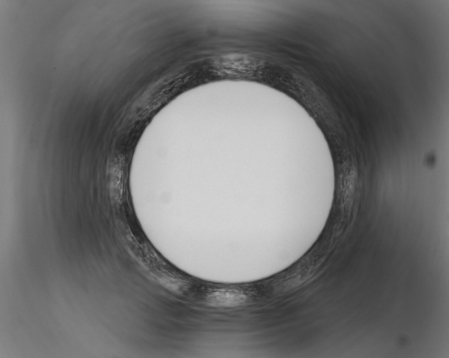 X0000115240749200912111054