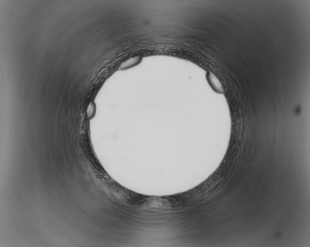 X0000115240750200912111054