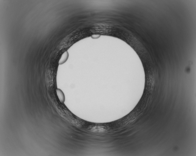 X0000115240751200912111054