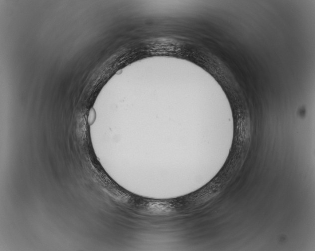 X0000115240753200912111054