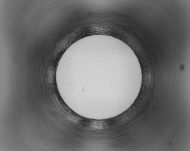 X0000115240757200912111054