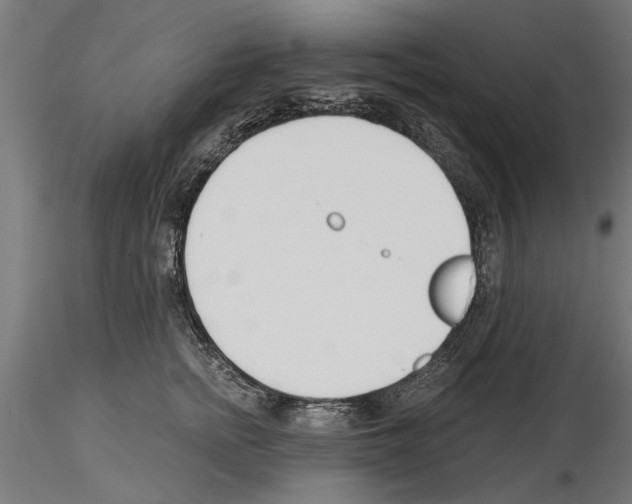 X0000115240758200912111054