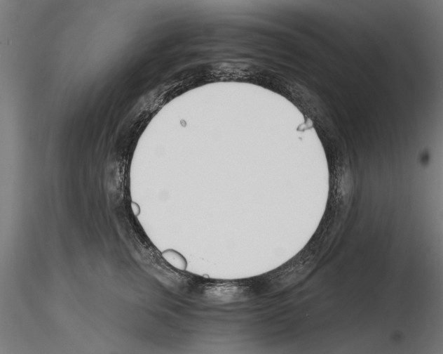 X0000115240759200912111054