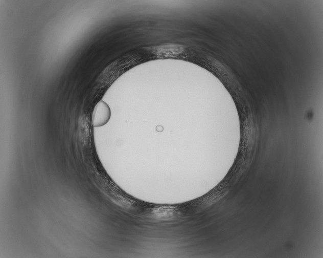 X0000115240761200912111054