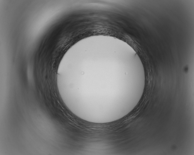 X0000115240762200912111054