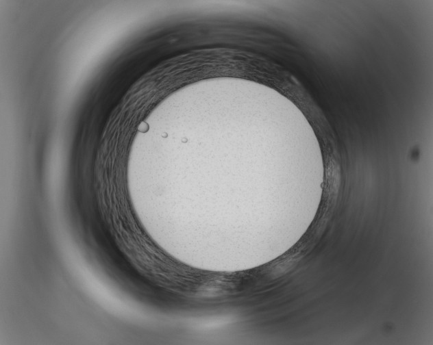 X0000115240765200912111054