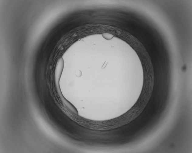 X0000115240766200912111054