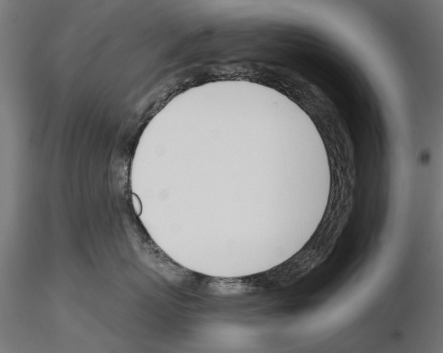 X0000115240767200912111054