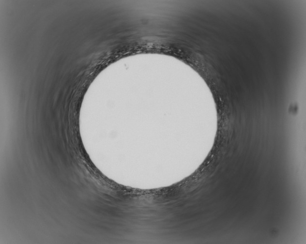 X0000115240769200912111053