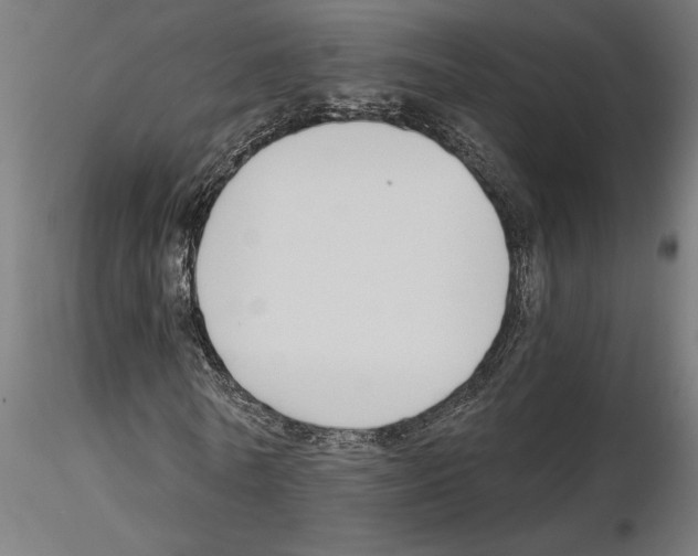 X0000115240770200912111053