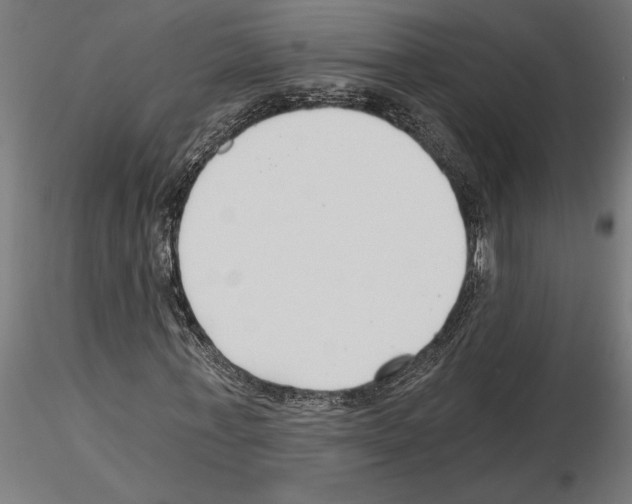 X0000115240771200912111053