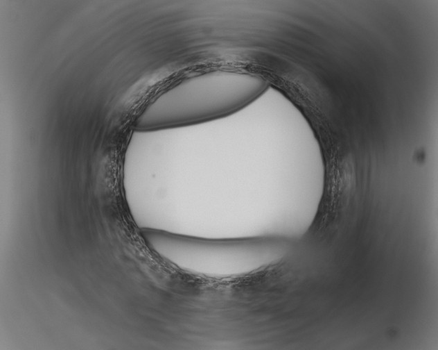 X0000115240773200912111053