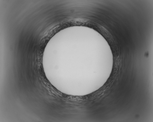 X0000115240774200912111053