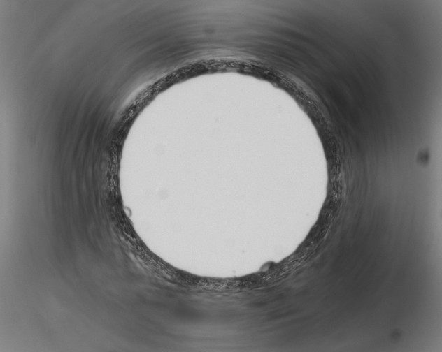 X0000115240775200912111053