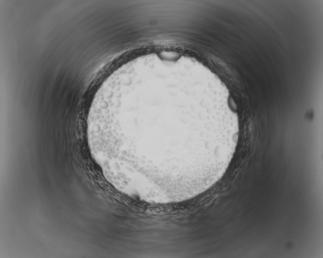 X0000115240776200912111053