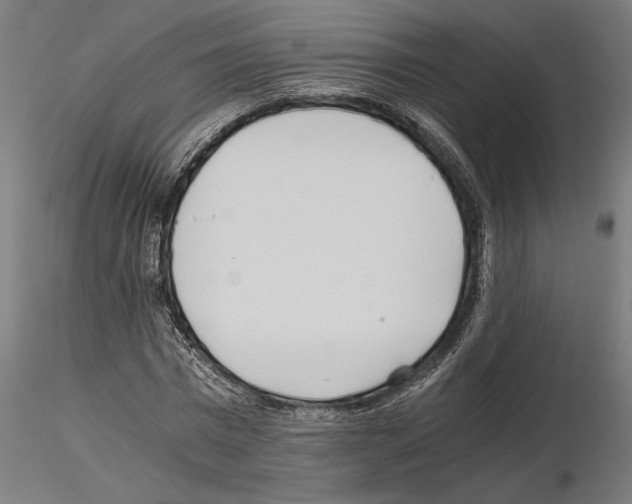 X0000115240777200912111053