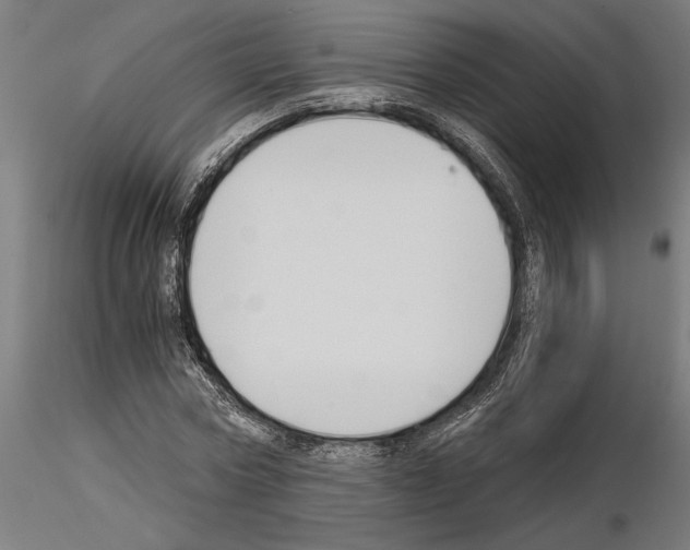 X0000115240778200912111053