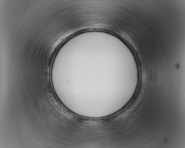 X0000115240781200912111053