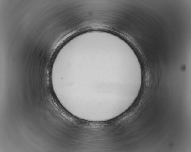 X0000115240782200912111053