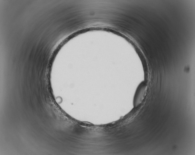 X0000115240783200912111053