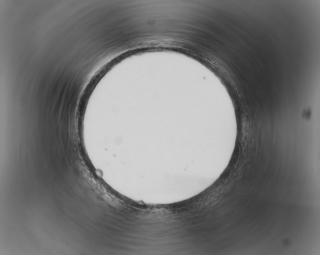 X0000115240784200912111053