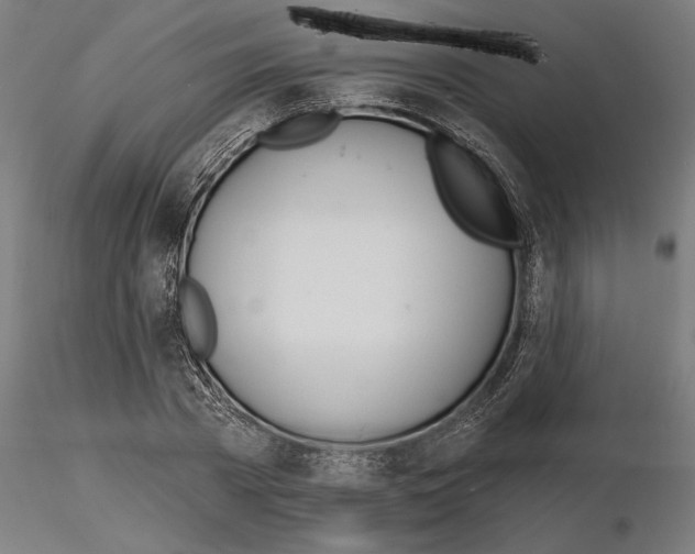 X0000115240785200912111053