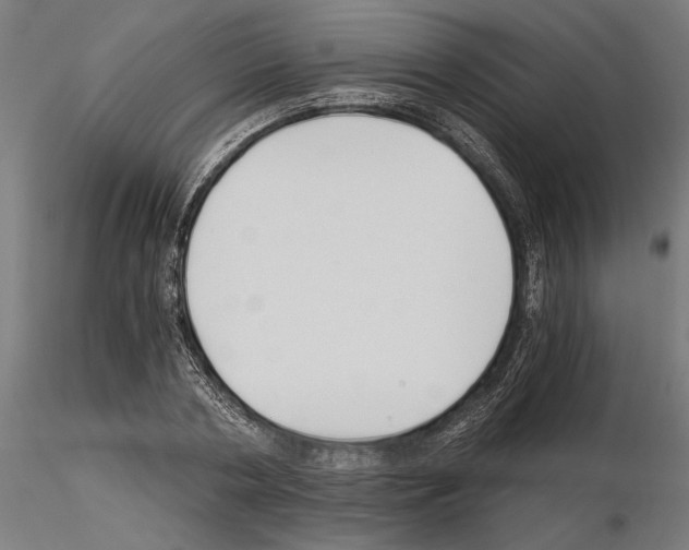 X0000115240786200912111053