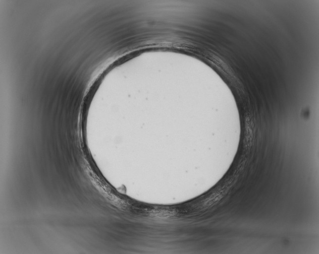 X0000115240788200912111053