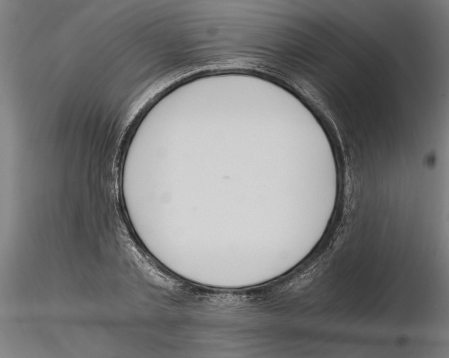 X0000115240789200912111053