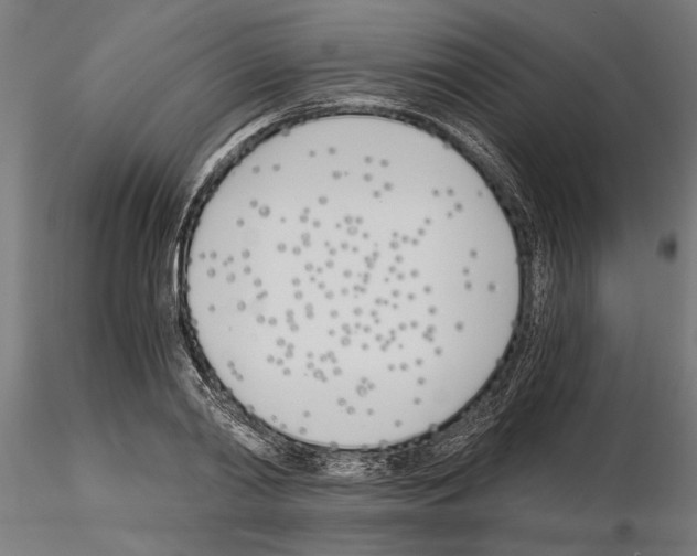 X0000115240790200912111053